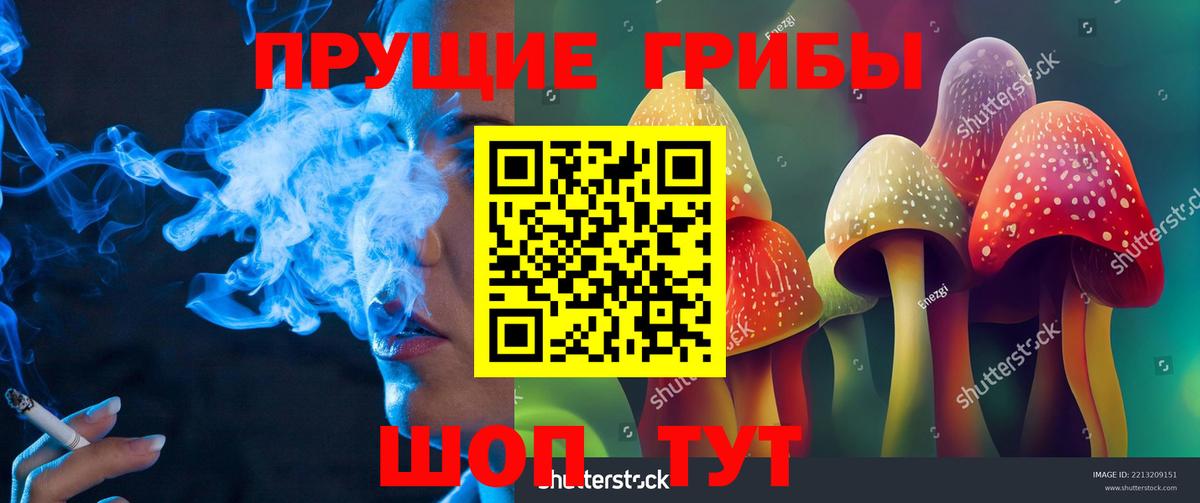 Березники  Псилоцибиновые грибы Psilocybe  Вход с VPN 