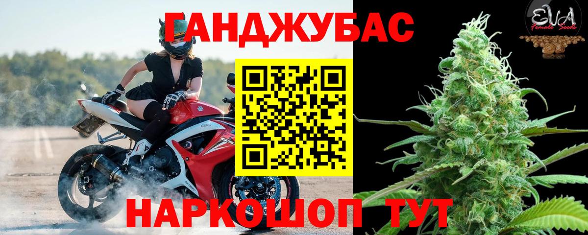 Бошки Шишки планчик Березники